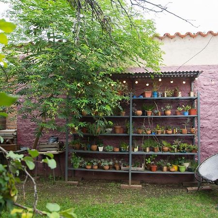 Feliza Hostel Βίλα Κάρλος Παζ Εξωτερικό φωτογραφία