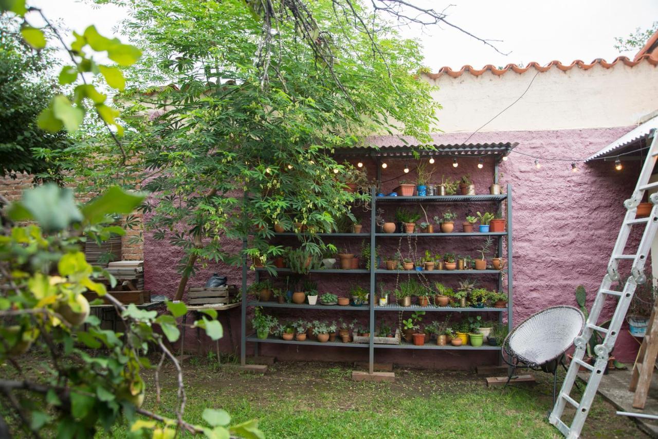 Feliza Hostel Βίλα Κάρλος Παζ Εξωτερικό φωτογραφία